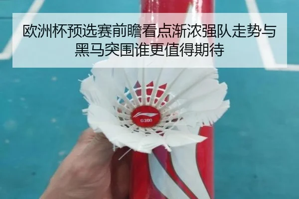欧洲杯预选赛前瞻看点渐浓强队走势与黑马突围谁更值得期待
